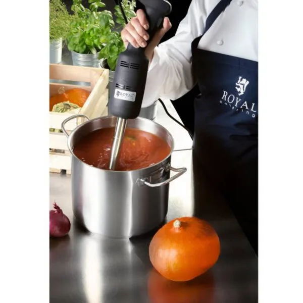 Mocny mikser blender robot ręczny dł. ramienia 400mm 500W 230V Royal Catering 4 10010390 5