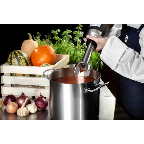Mocny mikser blender robot ręczny dł. ramienia 250mm 350W 230V Royal Catering 3 10010392 4