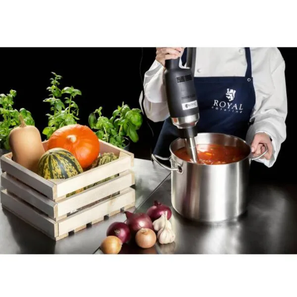 Mocny mikser blender robot ręczny dł. ramienia 300mm 350W 230V Royal Catering 5 10010393 3
