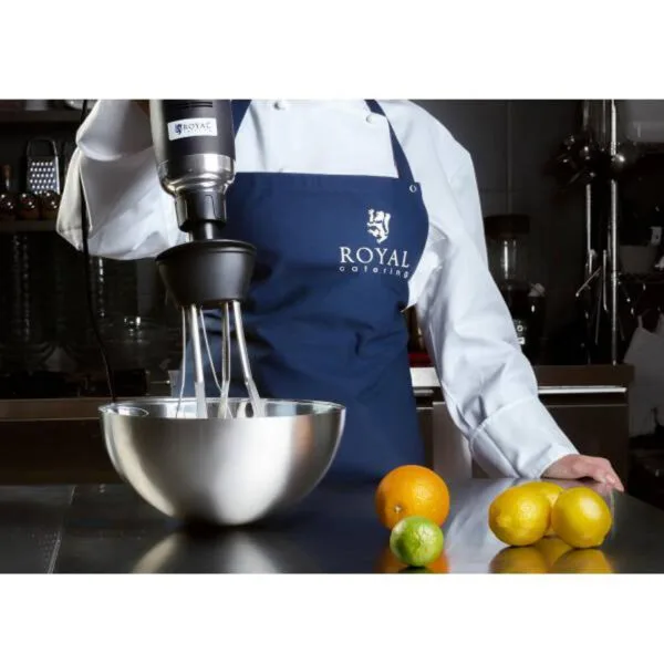 Mocny mikser blender robot ręczny z trzepaczką 500W 230V Royal Catering 6 10010399 6