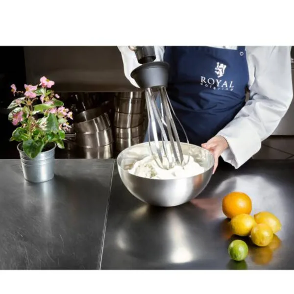 Mocny mikser blender robot ręczny z trzepaczką 500W 230V Royal Catering 7 10010399 7