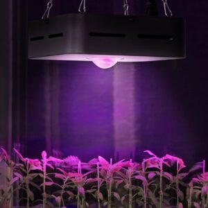 Lampa do uprawy wzrostu roślin pełne spektrum 20 x 20 cm 1 LED 50 W czarna 12 Lampa do uprawy wzrostu roślin pełne spektrum 20 x 20 cm 1 LED 50 W czarna - obrazek 5