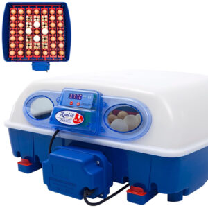 Inkubator wylęgarka do 49 jaj automatyczna z ochroną BIOMASTER 150 W 6 Inkubator wylęgarka do 49 jaj automatyczna z ochroną BIOMASTER 150 W - obrazek 1