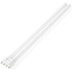 270240 swietlowka zarowka do lampy owadobojczej 120m2 36w