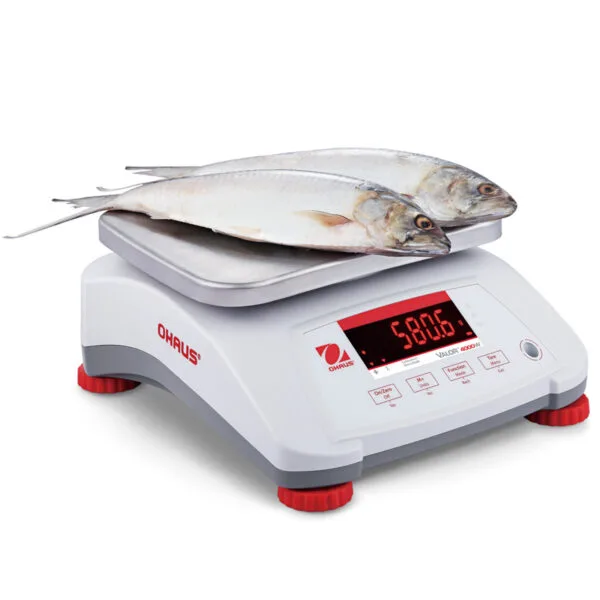 Waga VALOR 4000 z legalizacją kuchenna gastronomiczna wodoodporna IP68 LED 6Kg / 2g - OHAUS V41PWE6T-M 2 30035653 3