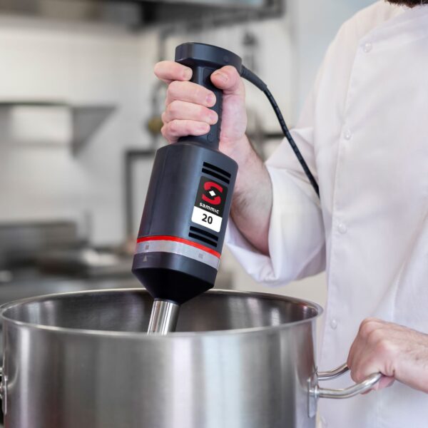 Mikser blender ręczny z ramieniem miksującym i ubijającym MB-21 300 W - Sammic 3030634 3 3030634 3