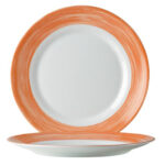 49138 talerze plytkie deserowe wytrzymale pomaranczowe brush sr 195mm 6 szt hendi 49138 hurtownia sklep cena tanio